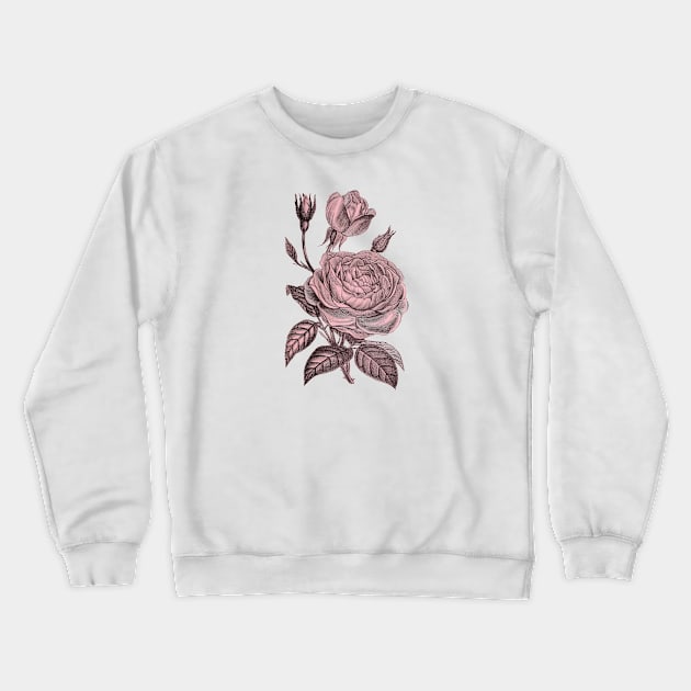 Pink Rose Flower Vintage Floral Illustration Crewneck Sweatshirt by Biophilia